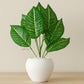 ARTSY Artificial Green Plant in Pot for Home Decor, Pack of 1