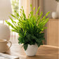 ARTSY Artificial Decorative Green Plant with Pot | Indoor Home Décor | 1 Pc