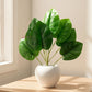 ARTSY Artificial Decorative Green Plant with Pot, Pack of 1
