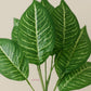 ARTSY Artificial Green Plant in Pot for Home Decor, Pack of 1