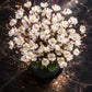 Elegant White Artificial Cherry Blossom Flower Bunch - Lifelike Pack of 1 Piece for Timeless Beauty, Without Vase, 55 Cm Long