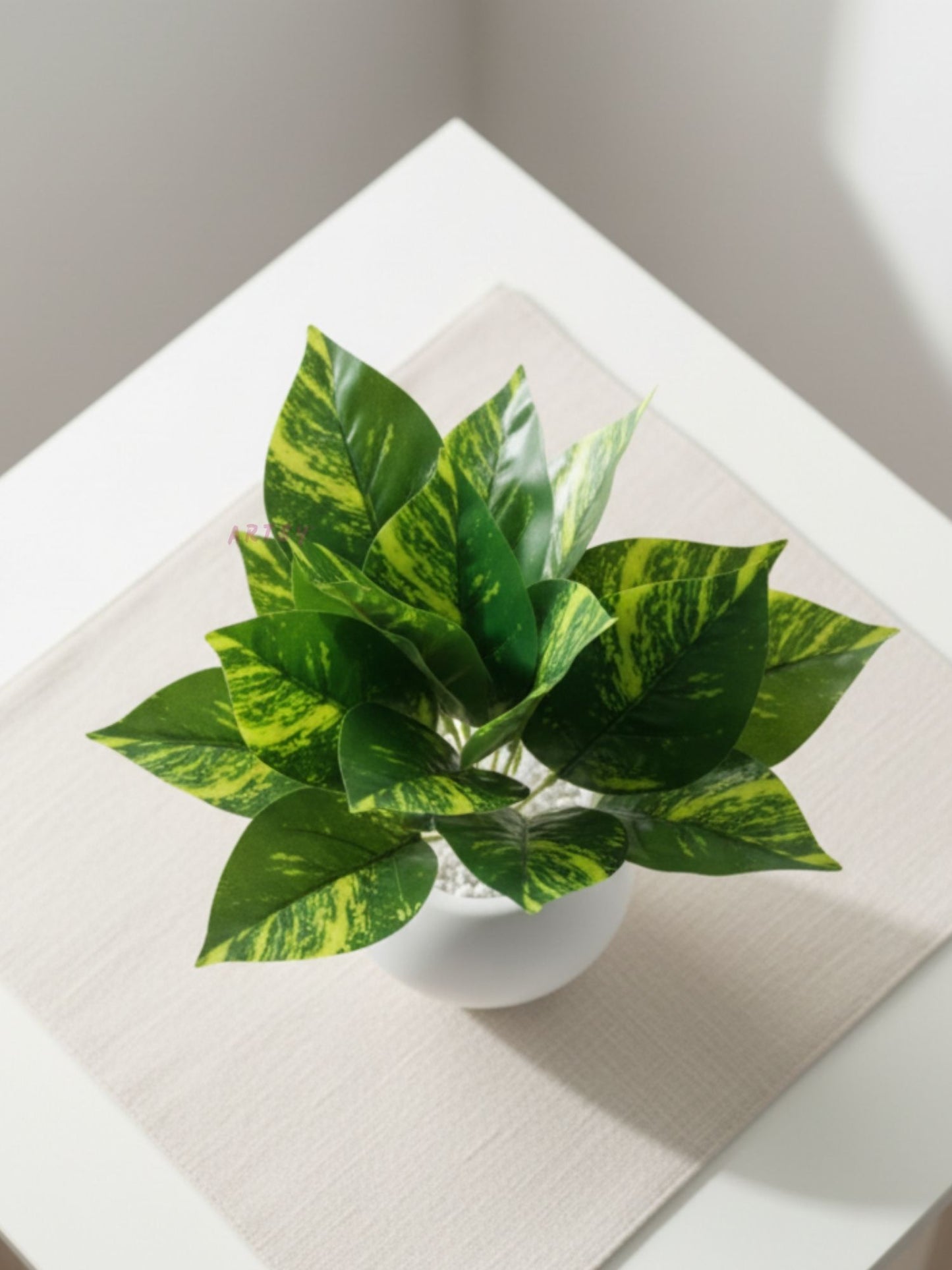 ARTSY Artificial Money Plant in White Pot | Realistic Indoor Home Decor, 1 Piece