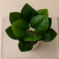 ARTSY Artificial Leaf Bunch for Home Decor | Realistic Greenery Plant for Vase, Office & Wedding Decoration (Pack of 1)