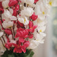 Elegant Sakura Blossom Artificial Flower Stem for Home & Table Decor | Premium Pink & White Floral Branch | 55 CM
