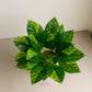 ARTSY Premium Artificial Green Leaf Bunch for Home & Office Decor