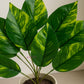 ARTSY Premium Artificial Green Leaf Bunch for Home & Office Decor