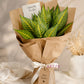 ARTSY Artificial Croton Leaf Bunches (Pack of 2) – Home & Office Decor