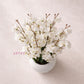 White Blossom Artificial Flower Arrangement in Premium Plastic Pot, Pack of 1
