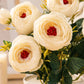 Luxury Ivory Peony Artificial Flower Pot for Home Decor | Premium Decorative Tabletop Floral Arrangement (Pack of 1)