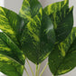 ARTSY Artificial Money Plant in White Pot | Realistic Indoor Home Decor, 1 Piece