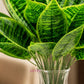 ARTSY Artificial Indoor Greenery Plant Bunch for Home Decor (Pack of 2)