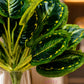 ARTSY Realistic Artificial Leaf Bunch for Vase, Living Room & Home Decor (Pack of 1)