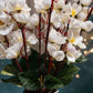Elegant White Artificial Cherry Blossom Flower Bunch - Lifelike Pack of 1 Piece for Timeless Beauty, Without Vase, 55 Cm Long