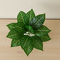 ARTSY Artificial Green Plant in Pot for Home Decor, Pack of 1