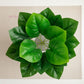 ARTSY Artificial Decorative Green Plant with Pot, Pack of 1