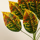 ARTSY Artificial Croton Leaf Bunch for Home Decor | Realistic Tropical Faux Plant for Living Room, Office & Vase Decoration (Pack of 1)