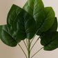ARTSY Artificial Leaf Bunch for Home Decor | Realistic Greenery Plant for Vase, Office & Wedding Decoration (Pack of 1)