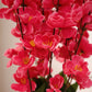 Artificial Blossom Flower Pot Set of 2 – Luxury Decorative Floral Arrangement for Home & Office Decor