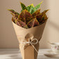 ARTSY Artificial Croton Leaf Bunch for Home Decor | Realistic Tropical Faux Plant for Living Room, Office & Vase Decoration (Pack of 1)