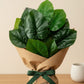 ARTSY Artificial Leaf Bunch for Home Decor | Realistic Greenery Plant for Vase, Office & Wedding Decoration (Pack of 1)