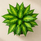 ARTSY Premium Artificial Green Leaf Bunch – Natural Looking Faux Foliage Arrangement for Vase, Home, Office, Hotel & Wedding Decoration