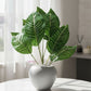 ARTSY Artificial Green Plant in Pot for Home Decor, Pack of 1