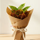 Artificial Croton Plant With Pot for Home & Office, Pack of 1
