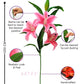 ARTSY Faux Pink Lily Flower Stem | Home & Office Decor, Pack of 1