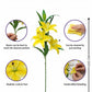 ARTSY Realistic Yellow Lily Flower Stem for Vase Arrangements & Décor