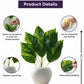 ARTSY Artificial Money Plant in White Pot | Realistic Indoor Home Decor, 1 Piece