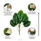ARTSY Artificial Leaf Bunch for Home Decor | Realistic Greenery Plant for Vase, Office & Wedding Decoration (Pack of 1)