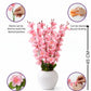 Luxury Pink Blossom Artificial Flower Pot Arrangement, Pack of 1