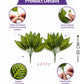 ARTSY Artificial Croton Leaf Bunches (Pack of 2) – Home & Office Decor