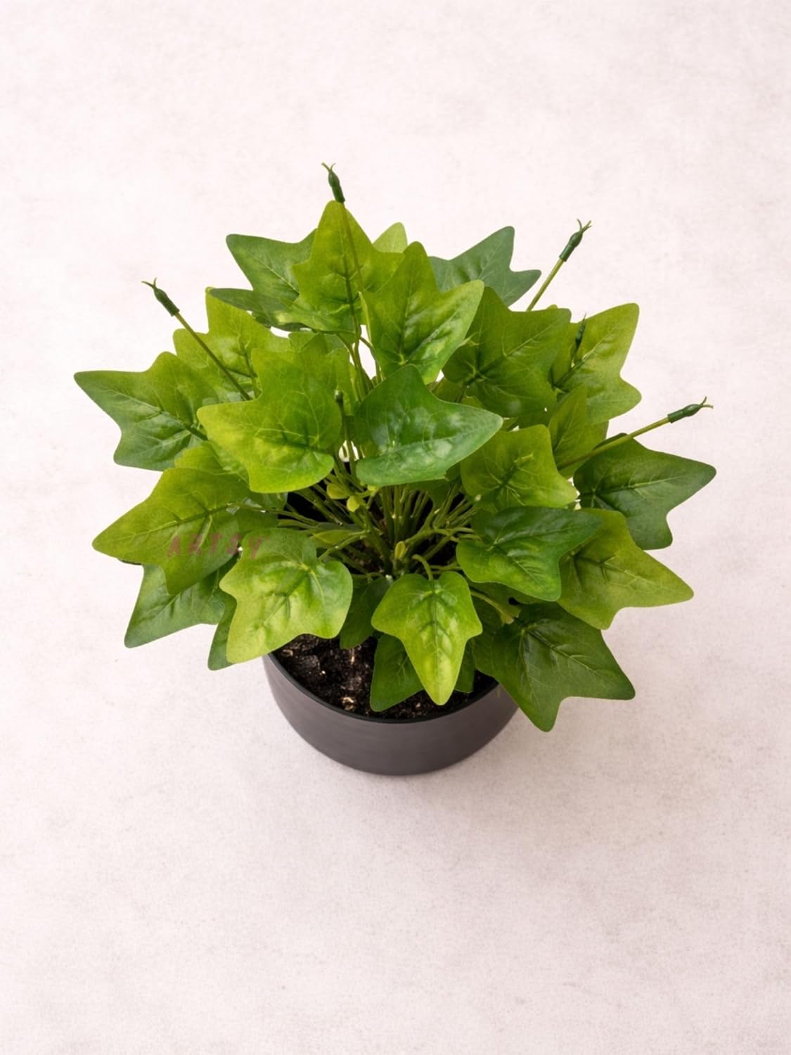 Artsy Artificial Zebra Plant with Black Pot | Pack of 1