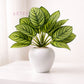ARTSY Artificial Tabletop Potted Plant for Living Room & Office Decor, Pack of 1 Piece