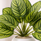 ARTSY Artificial Tabletop Potted Plant for Living Room & Office Decor, Pack of 1 Piece