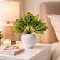 ARTSY Artificial Tabletop Potted Plant for Living Room & Office Decor, Pack of 1 Piece