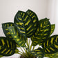ARTSY Realistic Artificial Indoor Plant with Decorative Pot, Pack of 1