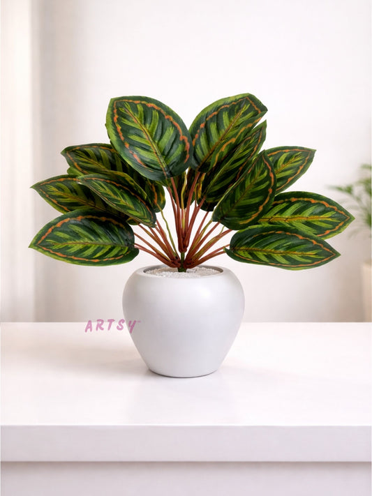 ARTSY Artificial Indoor Calathea Potted Plant for Home Decor, Pack of 1 Piece