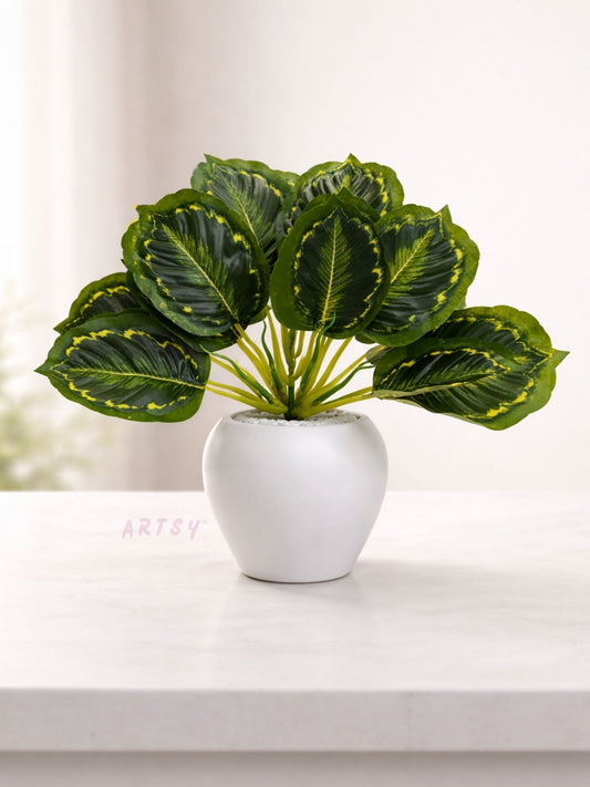 ARTSY Artificial Tabletop Plant for Home Decoration, Pack of 1