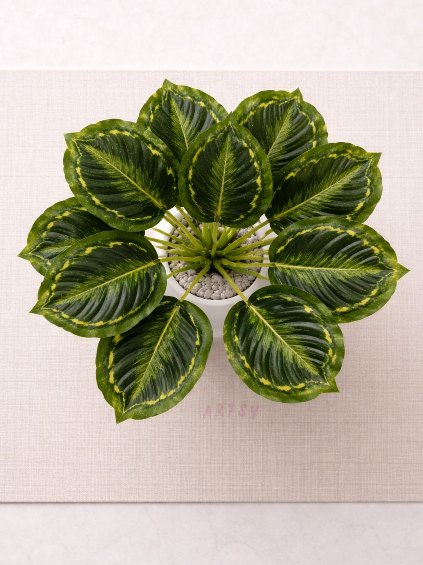 ARTSY Artificial Tabletop Plant for Home Decoration, Pack of 1