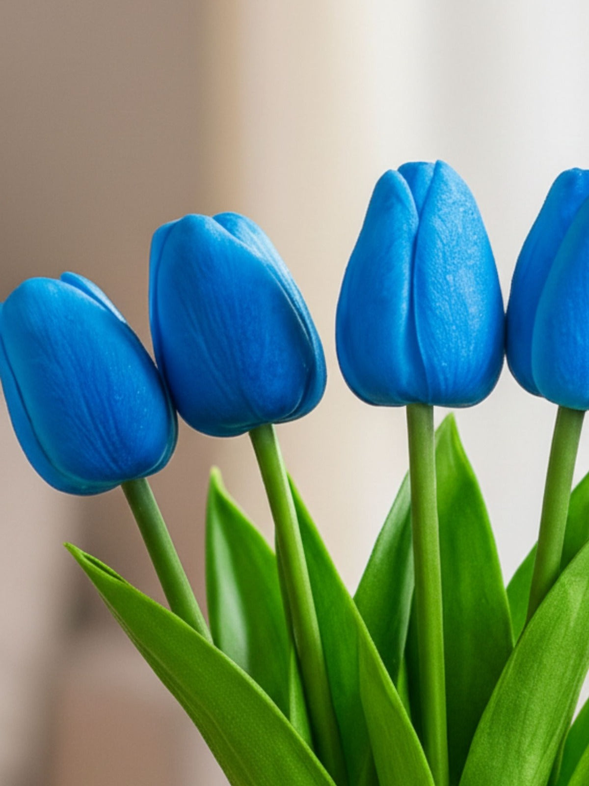 Blue tulips with green stems on a blurred background