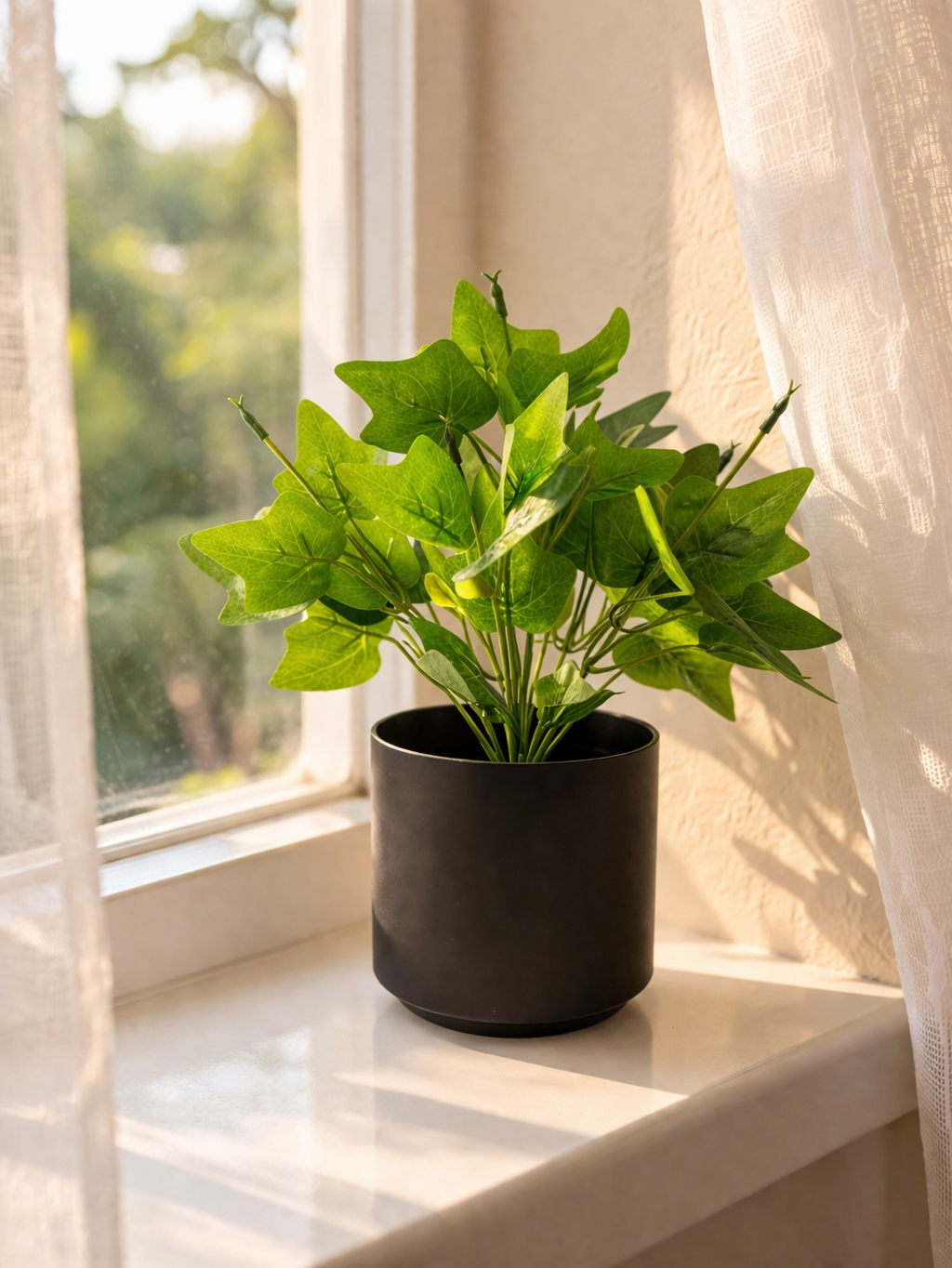 Artsy Artificial Zebra Plant with Black Pot | Pack of 1