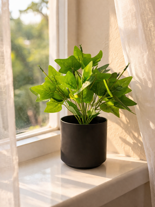 ARTSY® Artificial Zebra Plant with Black Pot — Realistic Indoor Tabletop Plant | Zero Maintenance | Pack of 1