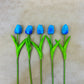 Five blue tulips with green stems on a beige background