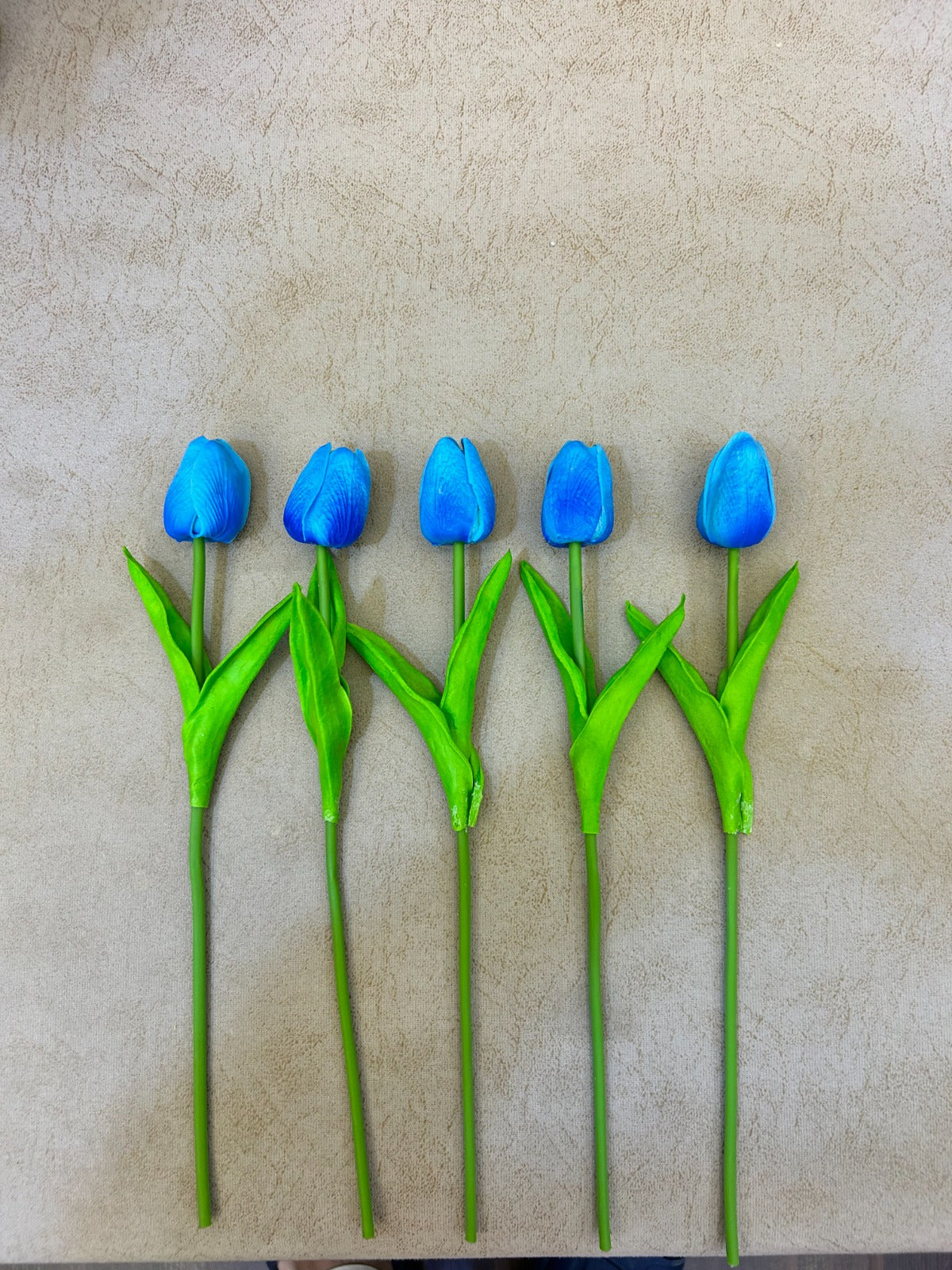 Five blue tulips with green stems on a beige background