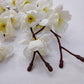 ARTSY Artificial flowers for home decoration, Without vase, pack of 2 pieces
