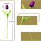 Purple tulip with measurements