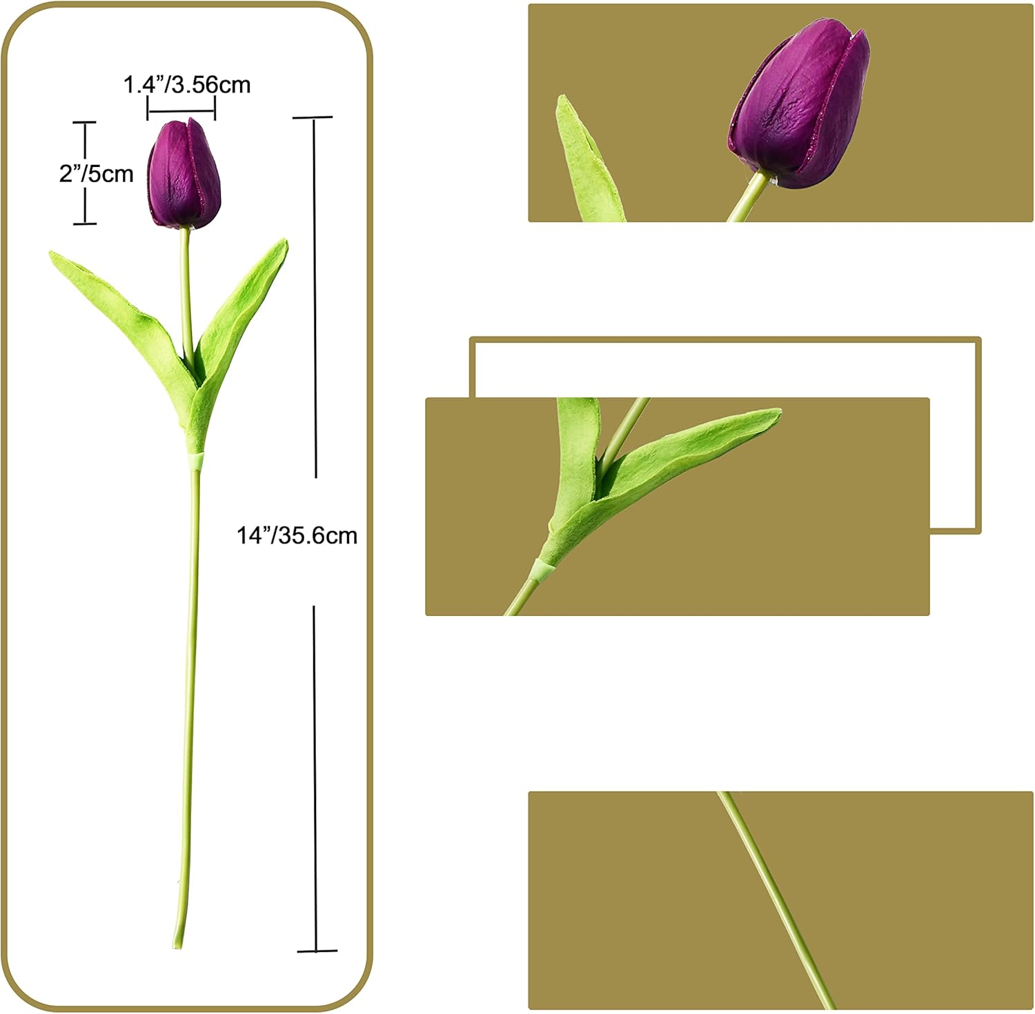 Purple tulip with measurements