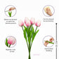 baby pink tulips product details 